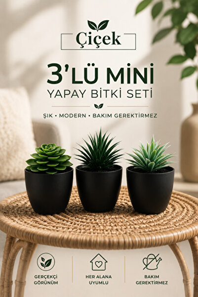 Çiçek Premium 3’lü Yapay Sukulent Yapay Seti – Modern Ev ve Ofis Dekoru