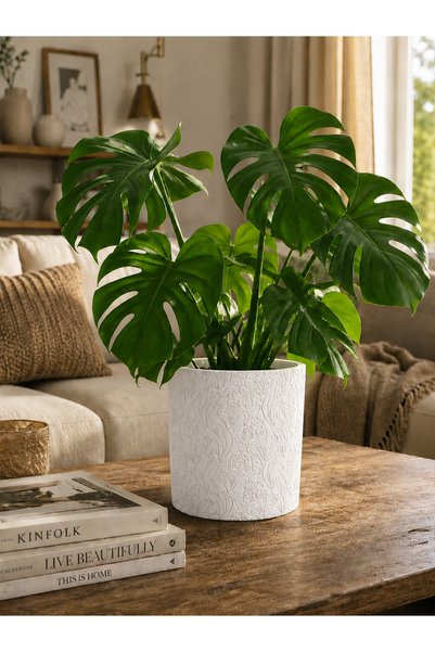 triora Bahar model:Modern Ev Dekorasyon Saksı 140cm yükseklik x 17,5cm genişl...