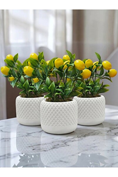 mora store 3’lü Dekoratif Beyaz Beton Saksı Seti 10x7 cm – Modern Sukulent ve...