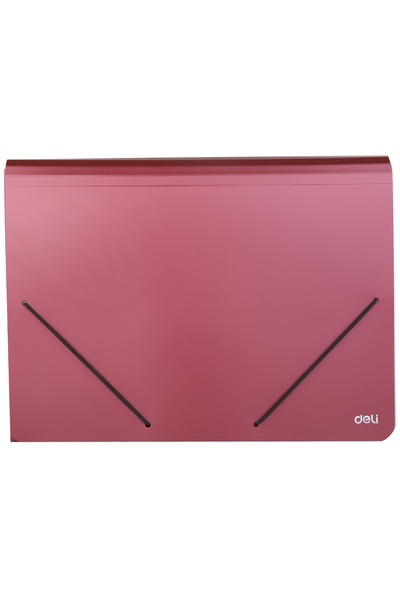 Deli Dosar elastic din plastic cu 12 separatoare
