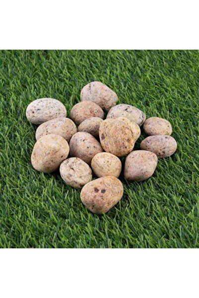 PAN HOME Natural Decorative Stone 650gm 6x16cm - Beige