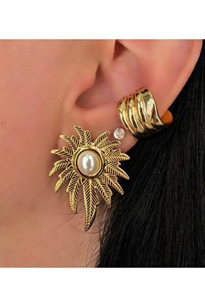 Store Steel Earrings