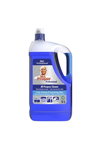 Mr Proper CURĂȚITOR DE GRESIE 5L MR.PROPER