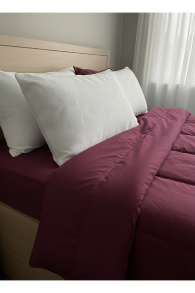 sarra 50X70 Premium Pillow Alloy