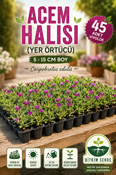 Bitkim Sende Videolu Acem Halısı-mezarlık Kabir Çiçeği 45 Adet Tüplü Dış Meka...