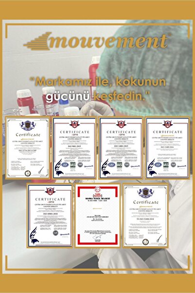 MOUVEMENT 100 Ml Amber Çubuklu Oda Kokusu – Gizemli ve Zarif Koku
