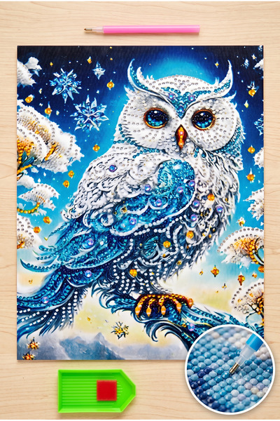 LİVA CRAFT Art & Craft Diamond Mosaic Painting, 30X40 White Owl Bead Gluing Kit