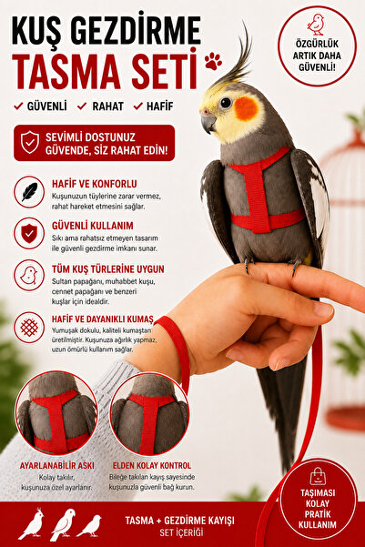 Petshop Kırmızı Kuş Gezdirme Tasması Seti Ayarlanabilir Papağan Uçuş Tasması ...