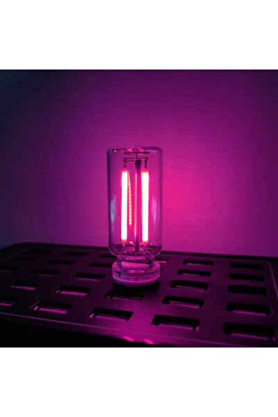 Choice Pink Retro Usb Led Filament Night Light Dimming 5v Lamp Decorative War...