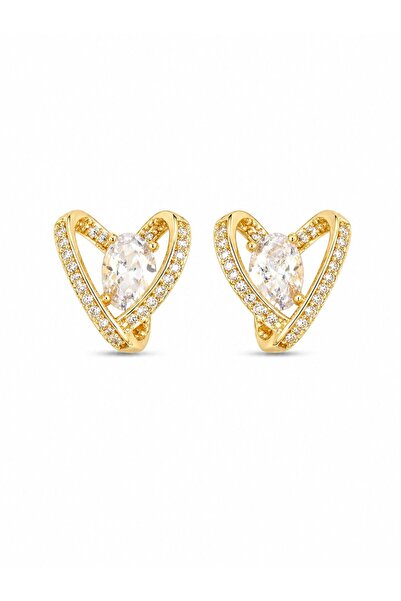 Clariss Brass Gold Color Zircon Stone Heart Model Women's Earrings