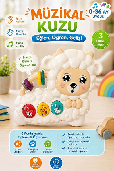 Toyaş Sesli Işıklı Müzikal Oyuncak Eğitici Bebek Oyuncağı 0-36 Ay 3 Mod