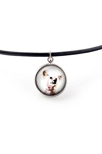 Art - Dog Câine Chinezesc cu creastă - pandantiv pentru colier cu fotografia ...