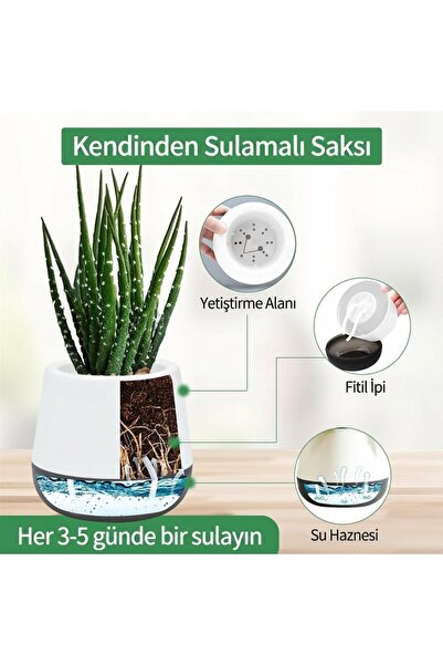 Saksıdan Sofraya Modern Mini Akıllı Saksı - Küçük Bitkiler İçin Dekoratif Saksı