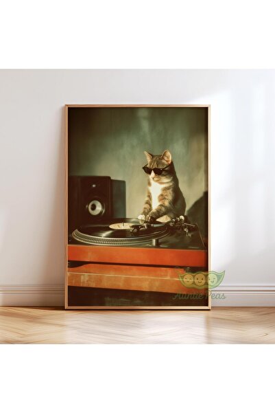 NinaStore DJ Kedi Vinil Plak Duvar Sanatı - Retro Pikap Müzik Posteri - Haval...