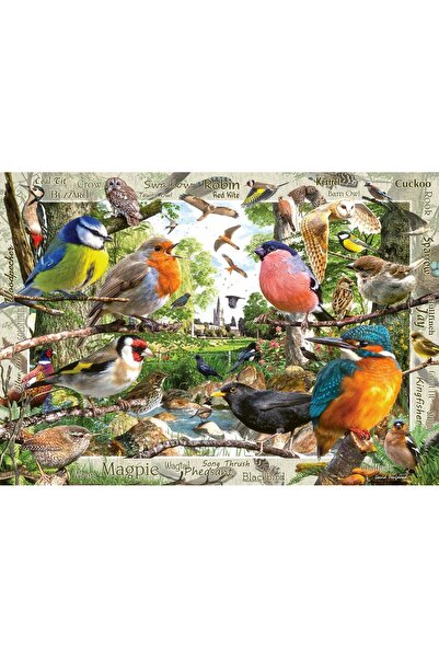 RAVENSBURGER 1000 Parça Our Feathered Friends Puzzle