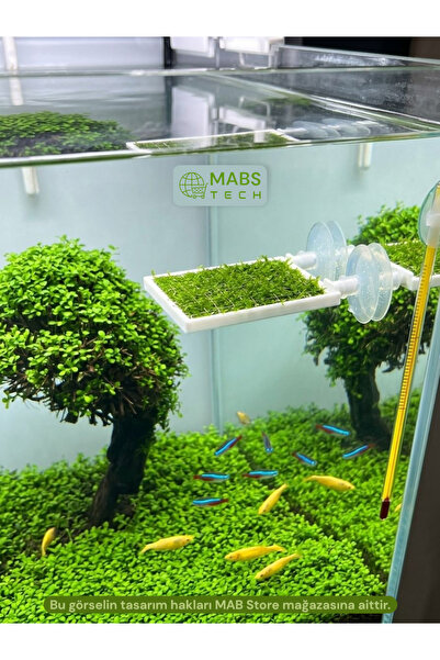 Vantuzlu Moss Balkonu Tel Tutucu 3D Moss Rafı – 5x5 Moss Tellerinizi Cama Şık ve Kaymaz Şekilde Sabitleyin!