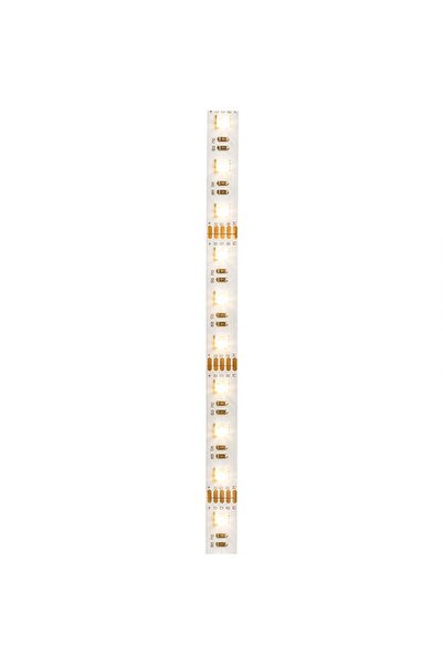 Rendl Light Studio RENDL Bandă LED ORION RGBW 5M 12V= LED 96W 120 °   RGBW