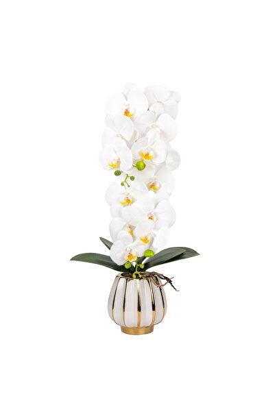 Naimeed Company Orhidee decorativă în ghiveci ceramic, 79 cm, Naimeed D6900, Alb