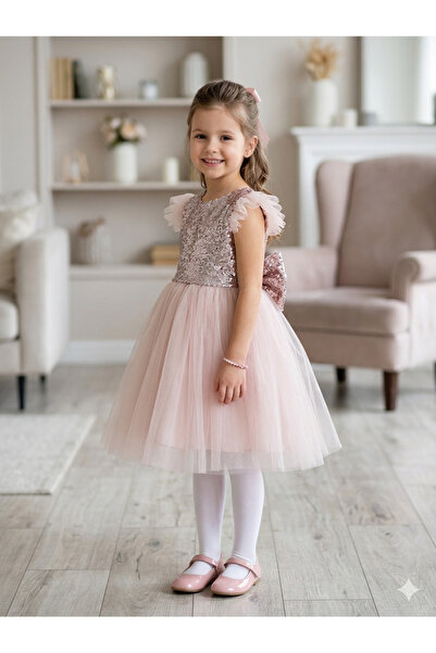 ZEYBABY Girl's Dress Special Occasion and Birthday Dress