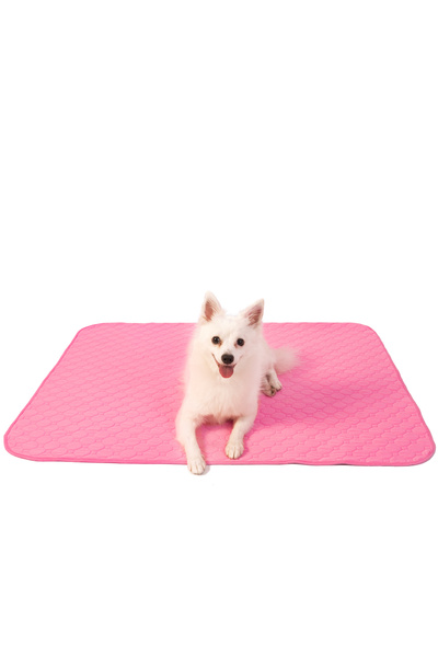 FLURRLY PET SHOP Covoras absorbant reutilizabil pentru caini, Flurrly, 100x10...