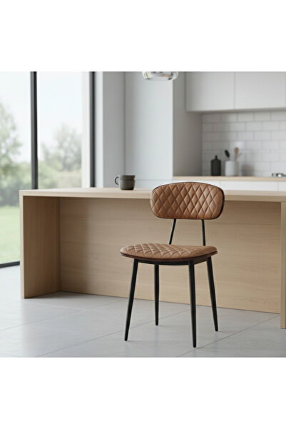 Ebticar Brown Leather Indoor Chair