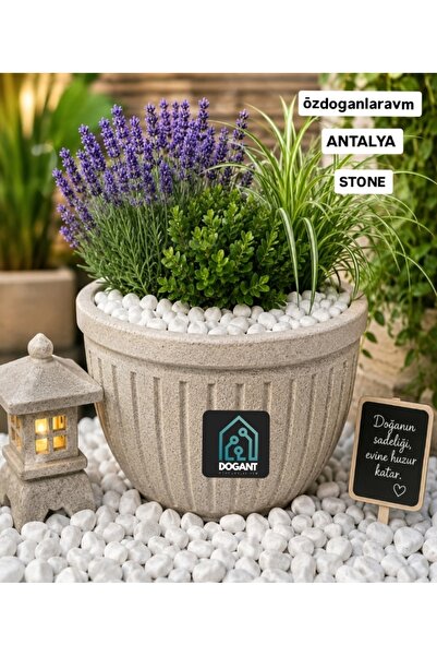 dogant özdoğanlar avm Stone White Dolomit Saksı Bahçe Dekor Dere Çakıl Taşı 2 Kg