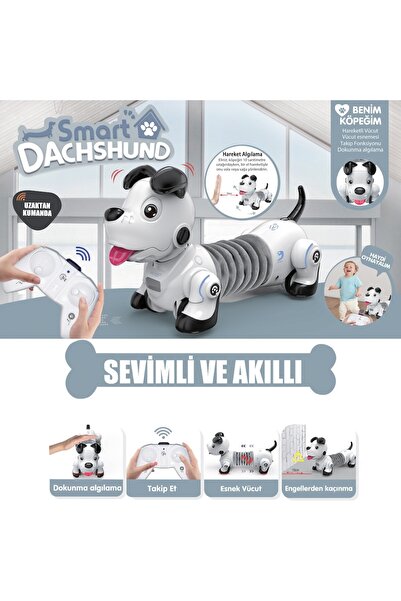 Vardem Uzaktan Kumandalı Akıllı Köpek Robot Işıklı Sesli Dans Eden Şarjlı Oyu...