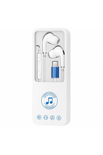 OEM USB-C headphones with silicone tips (In-Ear model)