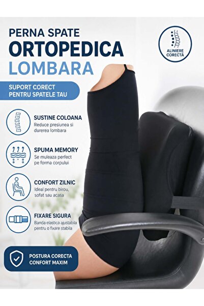 DEMOTEKS Orthopedic back cushion lumbar, black, office, car seat
