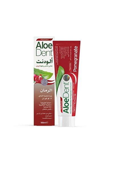 AloeDent ألوي دينت تربل أكشن سبيرمينت 100 مل | Triple Action Spearmint 100ml