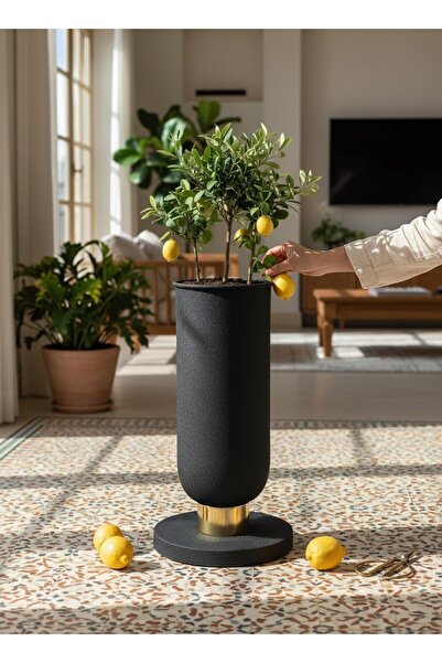 Mono Decors Saksı Bodur Model Siyah Boyalı