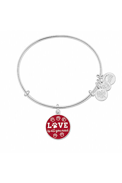 Alex and Ani Bratara Metal A17EBWAP07SS