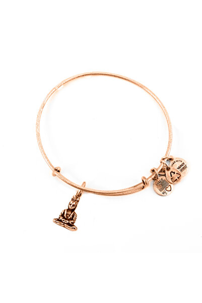 Alex and Ani Bratara Metal A11EB106RG