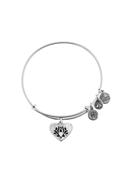 Alex and Ani Bratara Metal A15EB01SS