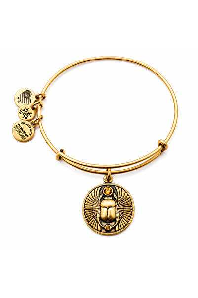 Alex and Ani Bratara Metal A16EBSCRG