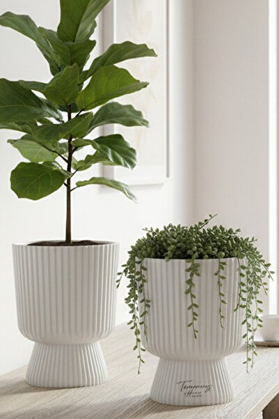 TEMMUZ HOME Lotus 2'li Set 1.8 Litre Ayaklı Saksı - 19.5 cm X 14 cm Çiçek ve ...