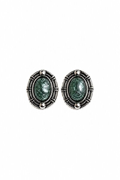 Charmist Steel Clara Earrings