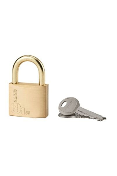 THIRARD Lacăt de exterior, cu cheie, TIP 1, 40 mm
