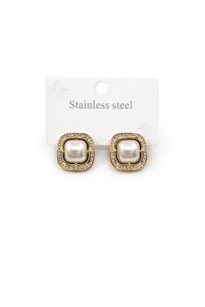 Bozhi Steel Earrings 31 Silver Special Gift Gold