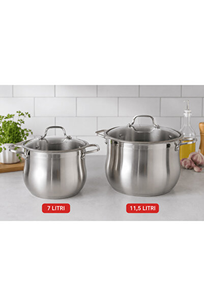 Swan Top Bottom Set of 2 stainless steel pots with glass lid, triple bottom, ...