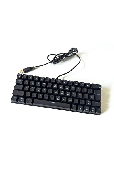 T-WOLF T61 Mekanik Gaming Klavye 63 Tuş RGB Aydınlatmalı İngilizce Q Kablolu ...