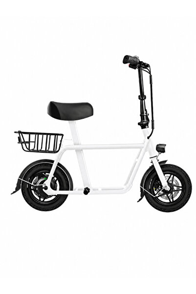 fiido q1 Scooter