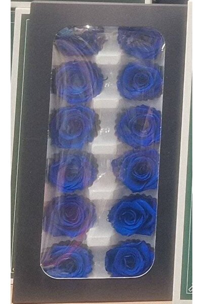 OEM Trandafiri criogenati, 12 bucati/cutie, diametru 4 cm Albastru