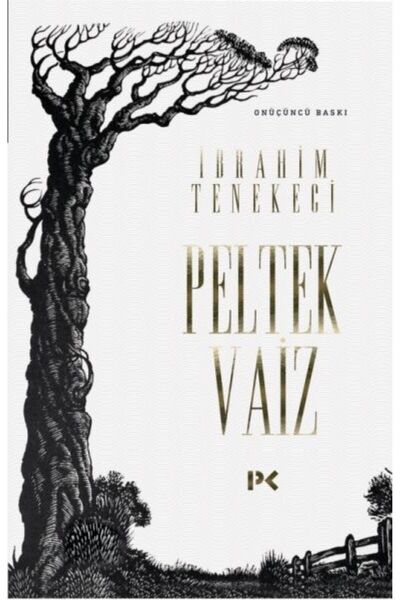 Profil Kitap Peltek Vaiz