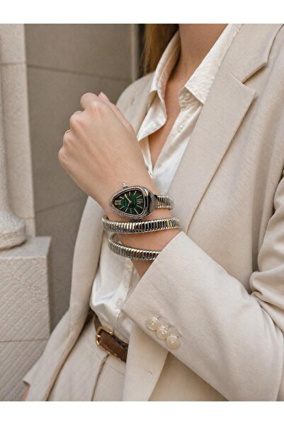 Ferrucci Snake Model Women's Wristwatch Steel Band Blackening Color Does Not ...