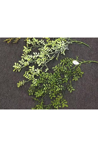OEM Creanga Frunze Salcam 2/set Verde Inchis