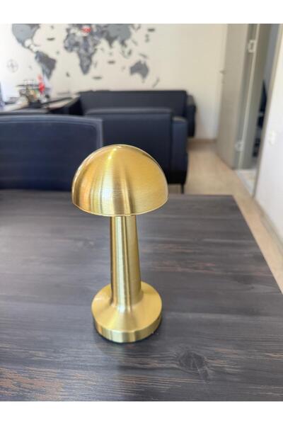 OFAS ENERJİ Cata Ct 8429OFAS Şarjlı 3 Kademe Işıklı Masa Lambası SARI Antik Renk