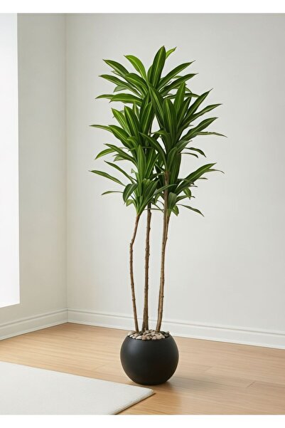 Casco Premium Artificial Decorative Tree with Stylish Round Pot