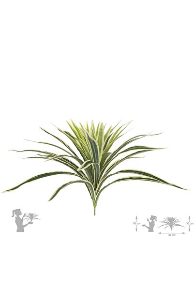 Roberto Rossi Chlorophytum artificial S D45xH35 cm cu 48 frunze GW