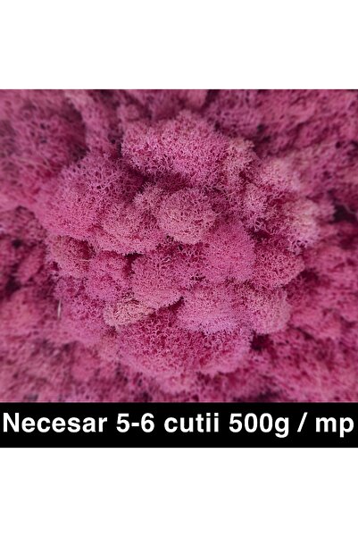 Roberto Rossi Licheni curatati si fara radacina conservati 500g NET, calitate...